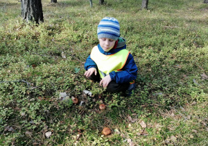 Chłopczy prowadzi obserwacje w lesie